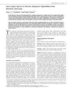 Copeia 2010, No. 3, 397–404  New Cryptic Species of Atractus (Serpentes: Dipsadidae) from