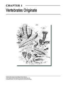 Biology / Phyla / Deuterostomia / Hemichordates / Deuterostome / Lancelet / Pharyngeal slit / Hemichordata / Pikaia / Taxonomy / Chordates / Zoology