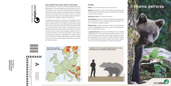 Ecco perché l’orso deve vivere in Svizzera!  Scheda Numerosi toponimi e stemmi testimoniano della presenza del plantigrado in Svizzera e della sua lunga convivenza con l’essere umano. L’orso è parte del nostro pa