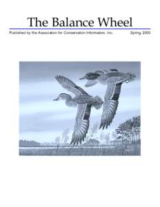 The Balance Wheel Spring 2000