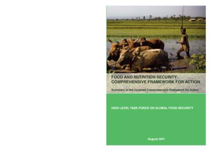 FOOD AND NUTRITION SECURITY: COMPREHENSIVE FRAMEWORK FOR ACTION Summary of the Updated Comprehensive Framework for Action HIGH LEVEL TASK FORCE ON GLOBAL FOOD SECURITY