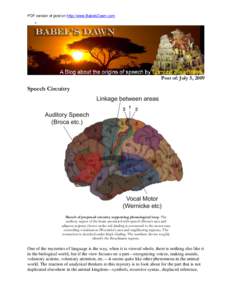 Human communication / Phonetics / Speech and language pathology / Speech / Speech repetition / Gesture / Primary auditory cortex / Working memory / Mind / Cognitive science / Language