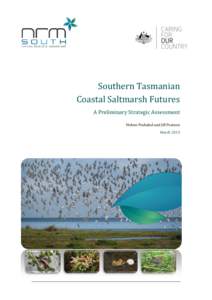 Southern Tasmanian Coastal Saltmarsh Futures A Preliminary Strategic Assessment Vishnu Prahalad and Jill Pearson March 2013