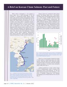 A Brief on Korean Chum Salmon: Past and Future While salmon consumption is very popular in Korea today, only a small percentage of the fish consumed is commercially-caught Korean salmon. Chum, pink, and masu salmon are d