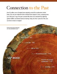 Connection to the Past Over 92 million acres of longleaf pine originally covered the southeastern United States. This vast pre-settlement forest stretched from Virginia to Texas, containing trees up to 500 years in age. 