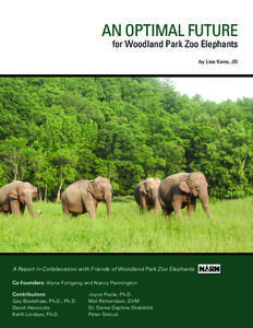 AN OPTIMAL FUTURE for Woodland Park Zoo Elephants by Lisa Kane, JD A Report in Collaboration with Friends of Woodland Park Zoo Elephants Co-founders: Alyne Fortgang and Nancy Pennington