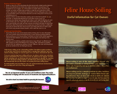 Litter box / Cat / Neutering / Encopresis / Feline cystitis / Feline lower urinary tract disease / Zoology / Biology / Medicine