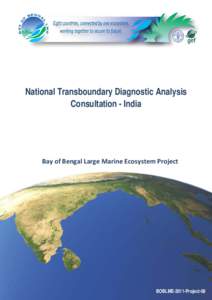 National Transboundary Diagnostic Analysis Consultation - India Bay of Bengal Large Marine Ecosystem Project  BOBLME-2011-Project-08
