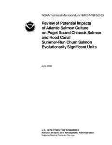 Review of the Potential Impacts of Atlantic Salmon Culture on the Puget Sound Chinook Salmon and Hood Canal Summer Chum Salmon