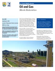 Oil and Gas - Marsh Restoration