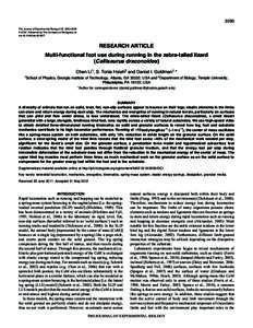 3293 The Journal of Experimental Biology 215,  © 2012. Published by The Company of Biologists Ltd doi:jebRESEARCH ARTICLE