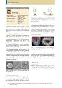 National Institute for Basic Biology  Imaging Science LABORATORY FOR SPATIOTEMPORAL REGULATIONS