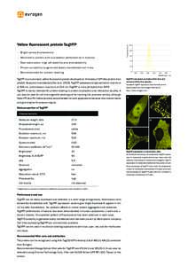 - Bright yellow fluorescence - Monomeric protein with successful performance in fusions Fluorescence, %  Yellow fluorescent protein TagYFP