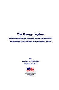 The Energy Logjam Removing Regulatory Obstacles to Fuel the Economy: Vital Statistics on America’s Most Promising Sector By Bernard L. Weinstein