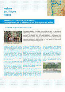 Vernaison : l’île de la Table-Ronde Le Programme de la réhabilitation écologique du Rhône ¬ Fleuve et patrimoine naturel