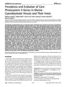 PLoS BIOLOGY  Prevalence and Evolution of Core Photosystem II Genes in Marine Cyanobacterial Viruses and Their Hosts Matthew B. Sullivan1[, Debbie Lindell1[, Jessica A. Lee2, Luke R. Thompson2, Joseph P. Bielawski3,4,