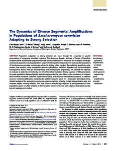 INVESTIGATION  The Dynamics of Diverse Segmental Ampliﬁcations in Populations of Saccharomyces cerevisiae Adapting to Strong Selection Celia Payen, Sara C. Di Rienzi,1 Giang T. Ong, Jamie L. Pogachar, Joseph C. Sanchez