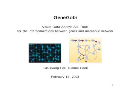 GeneGobi Visual Data Analyis Aid Tools for the interconnections between genes and metabolic network Eun-kyung Lee, Dianne Cook February 18, 2003