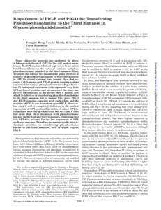 THE JOURNAL OF BIOLOGICAL CHEMISTRY © 2000 by The American Society for Biochemistry and Molecular Biology, Inc. Vol. 275, No. 27, Issue of July 7, pp–20919, 2000 Printed in U.S.A.