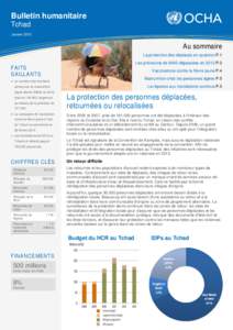 Bulletin humanitaire Tchad Janvier 2013 Au sommaire La protection des déplacés en question P.1