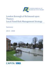 Hydrology / Flood control / Risk / Flood risk assessment / Environment Agency / Flood / River Thames / Risk management / Ordinary watercourse / Water / Physical geography / Meteorology