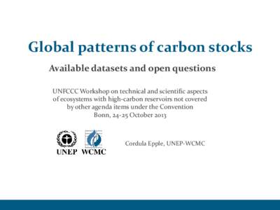 Global patterns of carbon stocks Available datasets and open questions UNFCCC Workshop on technical and scientific aspects of ecosystems with high-carbon reservoirs not covered by other agenda items under the Convention 