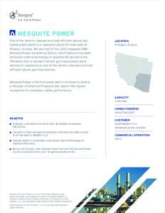 MESQUITE POWER One of the nation’s cleanest and most efficient natural-gas fueled power plants is in operation about 40 miles west of Phoenix, Arizona. We own half of the 1,250-megawatt (MW) Mesquite Power Generating S