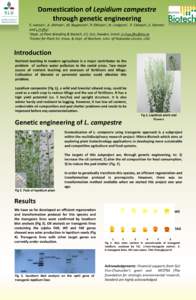 Domestication of Lepidium campestre through genetic engineering E. Ivarson1, A. Ahlman1, M. Beganovic1, P. Ohlsson1, H. Lindgren1, E. Cahoon2, S. Stymne1 and L.H Zhu1 1Dept. of Plant Breeding & Biotech, LTJ, SLU, Sweden.