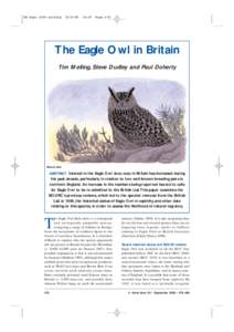 Snowy Owl / Eurasian Eagle-Owl / Horned owl / Falconry / Asio / Pellet / Aegolius / Eurasian Eagle-owl in Great Britain / Spotted Eagle-Owl / Neognathae / Owls / Bubo