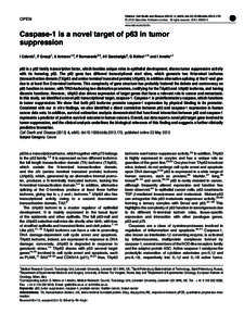 OPEN  Citation: Cell Death and Disease[removed], e645; doi:[removed]cddis[removed] & 2013 Macmillan Publishers Limited All rights reserved[removed]www.nature.com/cddis