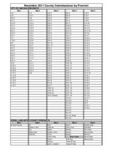 Listing-County Commissioner  by Pct.xls