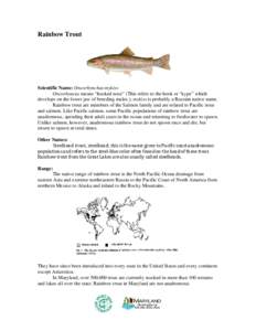 Oily fish / Salvelinus / Aquaculture / Rainbow trout / Brook trout / Trout / Brown trout / Myxobolus cerebralis / Salmon / Fish / Oncorhynchus / Salmonidae