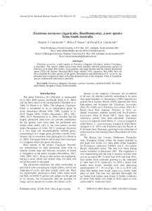 Entolomataceae / Entoloma / Entoloma moseri / Entoloma hochstetteri