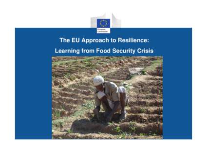 The EU Approach to Resilience: Learning from Food Security Crisis An increasingly fragile world • •