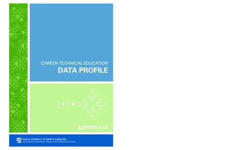 Microsoft Word[removed]CTE Data Profile.doc