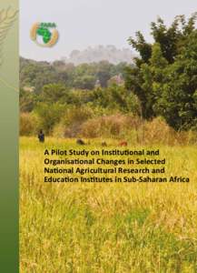 A Pilot Study on Institutional and Organisational Changes in Selected National Agricultural Research and Education Institutes in Sub-Saharan Africa  i