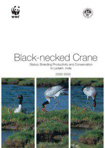 Black-necked Crane Status, Breeding Productivity and Conservation in Ladakh, India