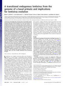 A transitional endogenous lentivirus from the genome of a basal primate and implications for lentivirus evolution