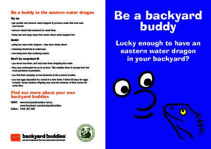 Be a buddy to the eastern water dragon Try to: • get outside and observe water dragons if you have water that runs near your house. • remove weeds that encroach on creek lines. • keep cats and dogs away from areas