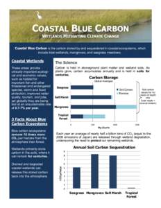 COASTAL BLUE CARBON WETLANDS MITIGATING CLIMATE CHANGE Coastal Blue Carbon is the carbon stored by and sequestered in coastal ecosystems, which include tidal wetlands, mangroves, and seagrass meadows.