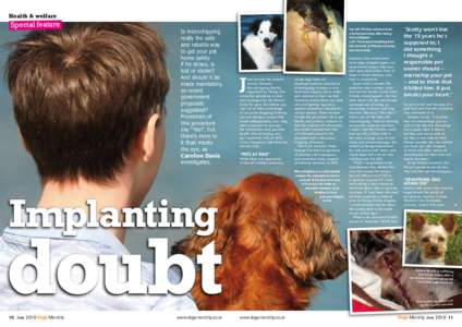 Health & welfare  Special feature Is microchipping really the safe