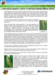 Technical Update – T0 & T1 Options, Winter Wheat 2013 The situation which we face in the field is unlike any we have seen for many years where crop growth stages can be described as variable at best. The short spell of