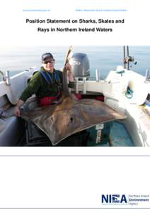 Research and Development (R&D) Series 09/03 – Position statement on sharks, skates and rays in Northern Ireland waters