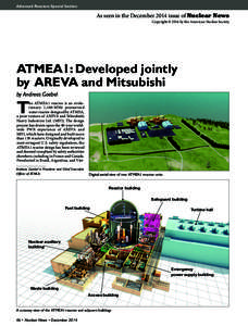 Nuclear meltdown / Pressurizer / Nuclear power plant / Pressurized water reactor / Fukushima Daiichi nuclear disaster / Loss-of-coolant accident / Control rod / Nuclear reactor safety systems / B&W mPower / Nuclear technology / Energy / Nuclear safety