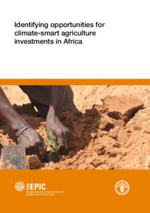 Identifying opportunities for climate-smart agriculture investments in Africa 