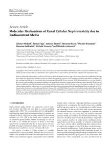 Molecular Mechanisms of Renal Cellular Nephrotoxicity due to Radiocontrast Media