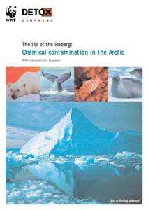 氷山の一角：北極地方の化学物質汚染（The tip of the iceberg: Chemical contamination in the Arctic）