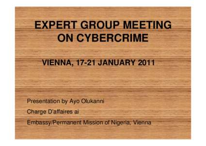 EXPERT GROUP MEETING ON CYBERCRIME VIENNA, 17-21 JANUARY 2011 Presentation by Ayo Olukanni Charge D’affaires ai