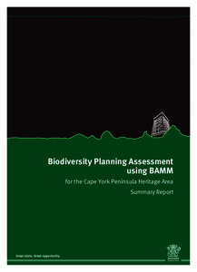 Department of Environment and Heritage Protection  Biodiversity Planning Assessment using BAMM for the Cape York Peninsula Heritage Area Summary Report