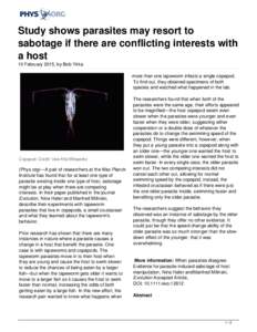 Study shows parasites may resort to sabotage if there are conflicting interests with a host